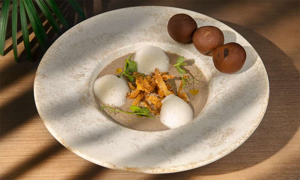 Mushroom Cream Soup at TITA Restaurant